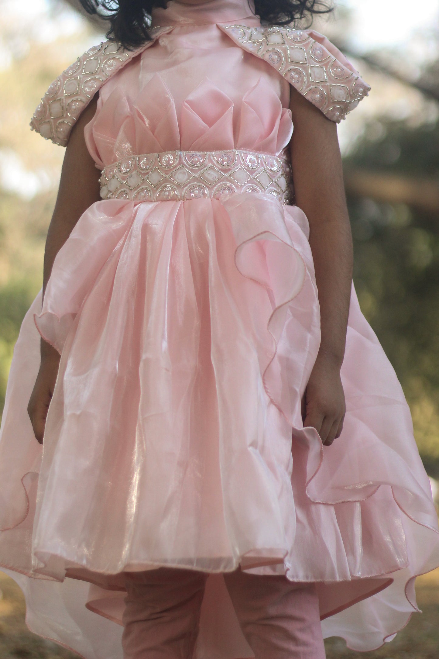 princess dress pink